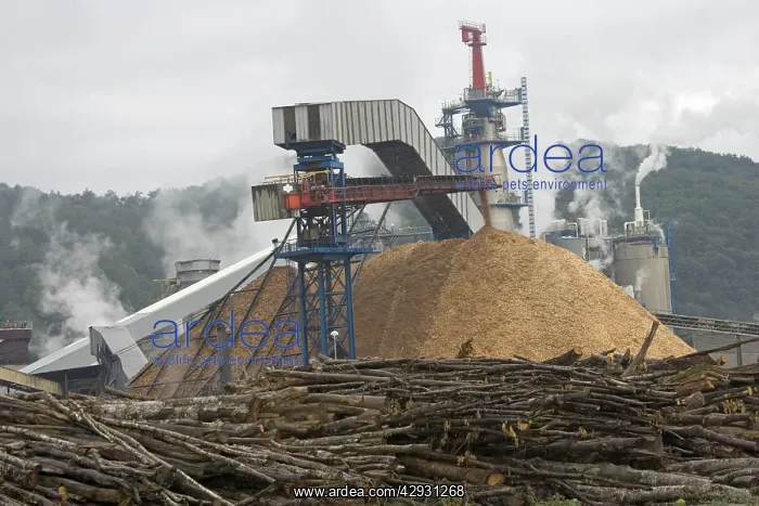 : Tembec wood pulp processing factory in Saint-Gaudens : Tembec wood pulp processing factory in Saint-Gaudens