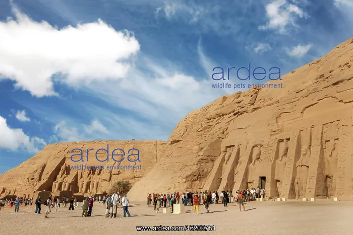 : Temple of Abu Simbel, Great Temple of Ramses II : Temple of Abu Simbel, Great Temple of Ramses II