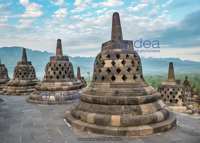 : Temple complex Borobudur, Stupas, Borobudur, Yogyakarta : Temple complex Borobudur, Stupas, Borobudur, Yogyakarta