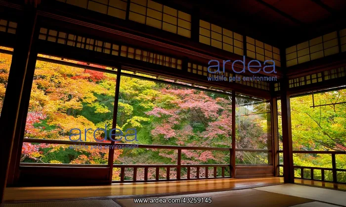 : Temple Rurikoin in autumn in Ky&, x134bec; Japan : Temple Rurikoin in autumn in Ky&, x134bec; Japan