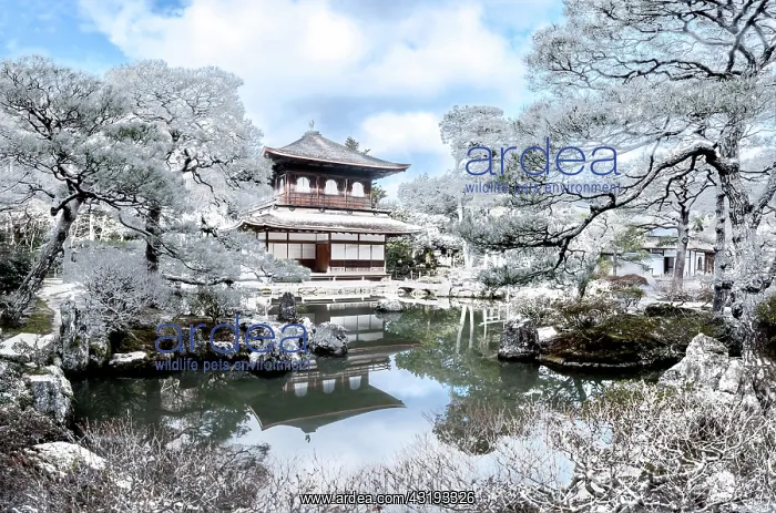  : Temple of the Silver Pavilion