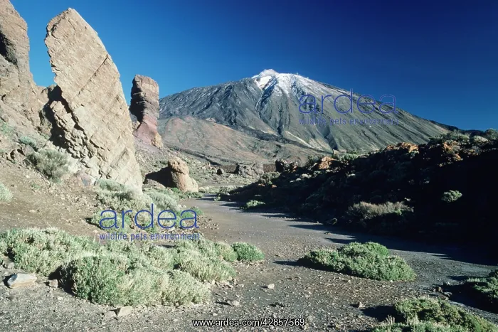 : TENERIFE. Mount Teide and Los Roques Volcano : TENERIFE. Mount Teide and Los Roques Volcano