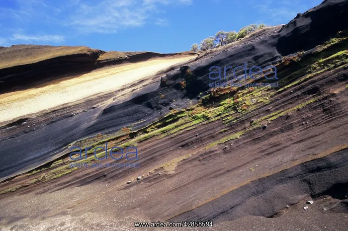 : Tenerife - Stratified lava flows at C. 2000m on : Tenerife - Stratified lava flows at C. 2000m on