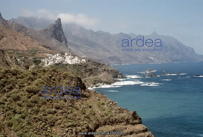 : Tenerife - Taganna & N. Coast of Anaga Peninsula : Tenerife - Taganna & N. Coast of Anaga Peninsula