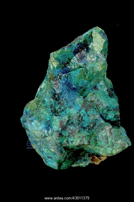  : Tennerite Ajo, Arizona, USA