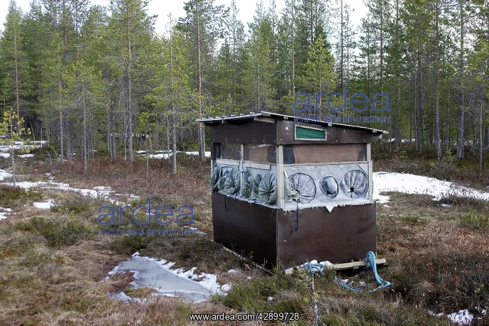 : Tent / Hide in forest : Tent / Hide in forest