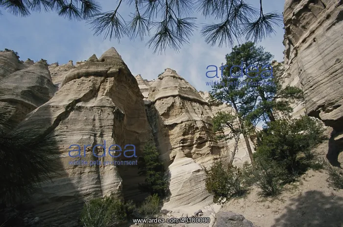  : Tent Rocks, New Mexico