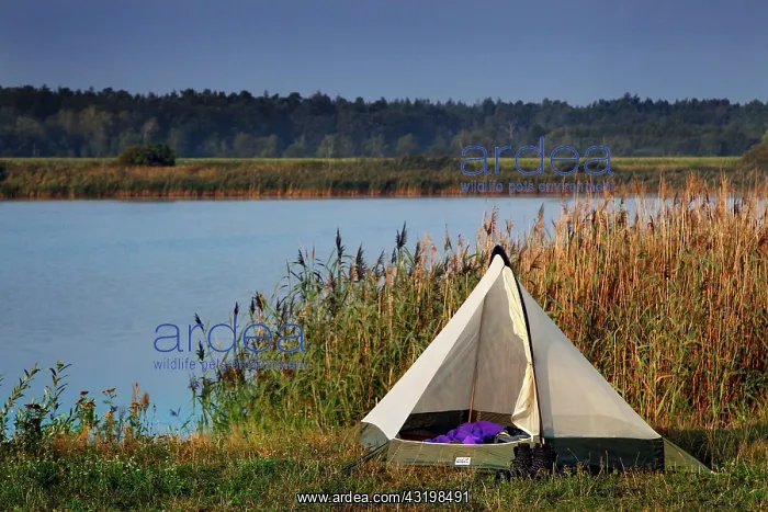: Tent at the Stresow lake in the Wrechower Aue, nature : Tent at the Stresow lake in the Wrechower Aue, nature