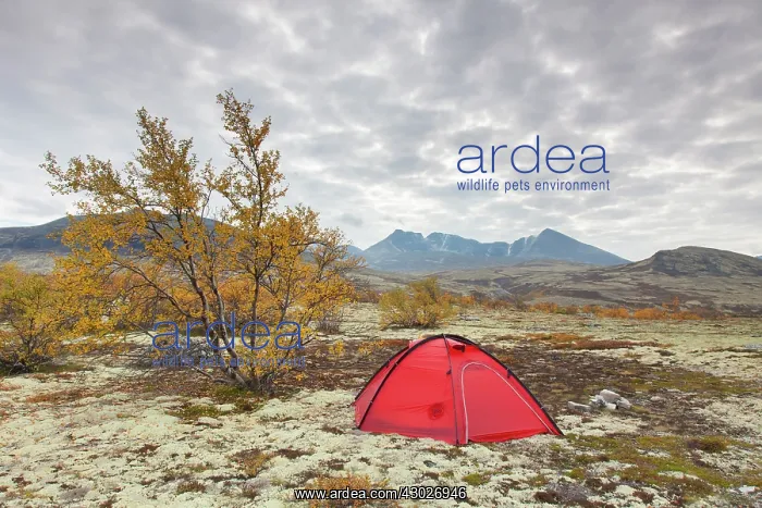 : Tent in the valley Doraldalen Rondane National : Tent in the valley Doraldalen Rondane National
