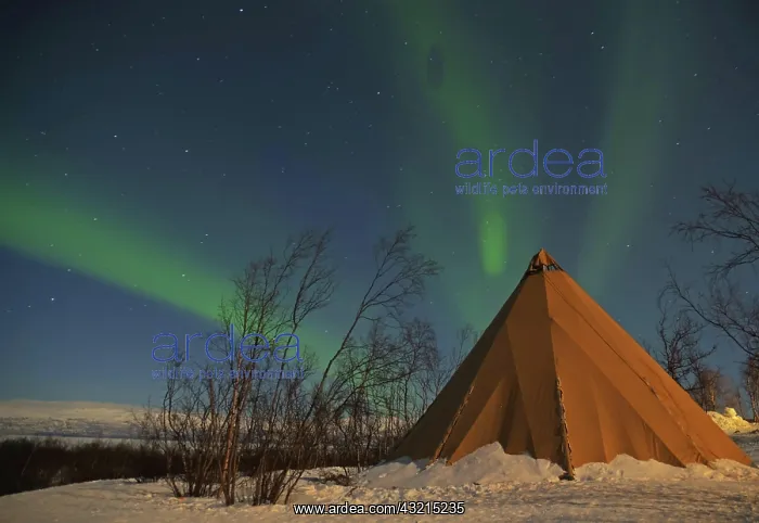 : Tent in wintry landscape, Northern Lights, Abisko : Tent in wintry landscape, Northern Lights, Abisko