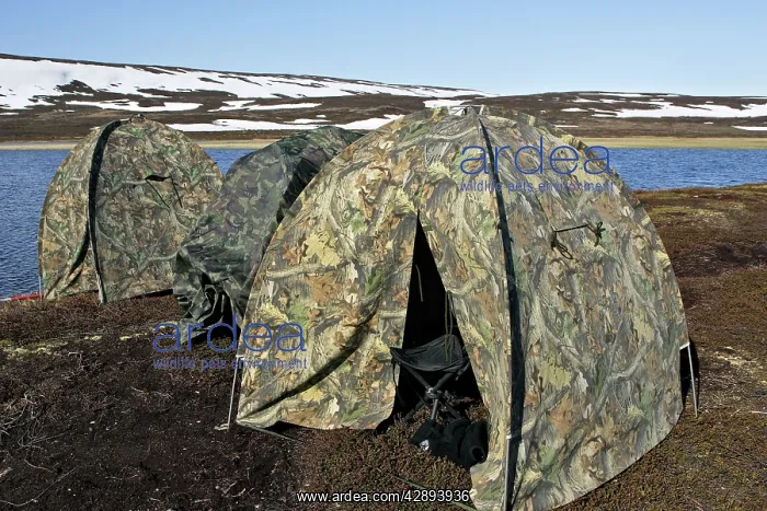  : Tents - photographer's campsite