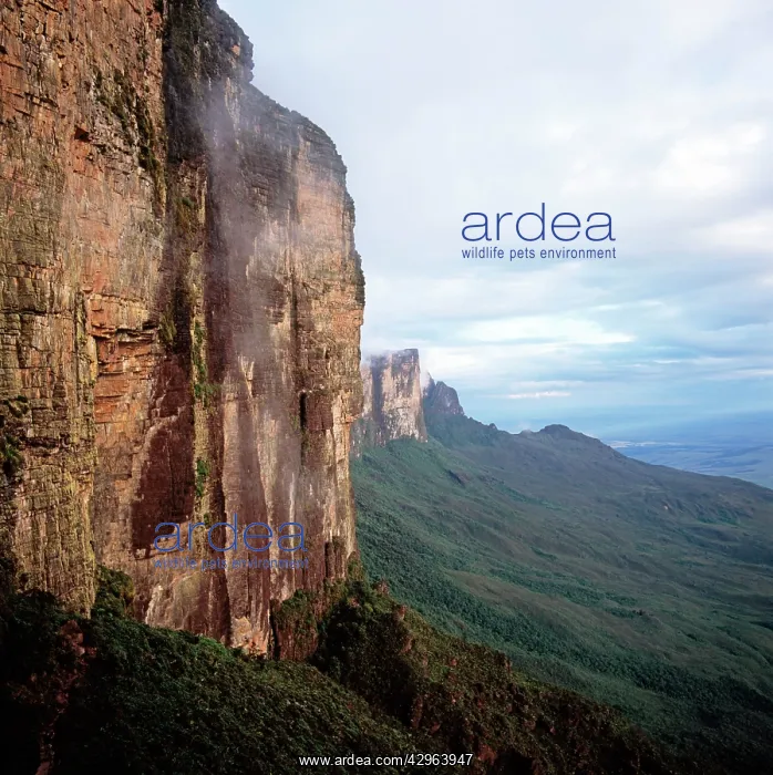 : Tepuis: Mount Roraima (Cerro Roraima), Estado Bolivar : Tepuis: Mount Roraima (Cerro Roraima), Estado Bolivar