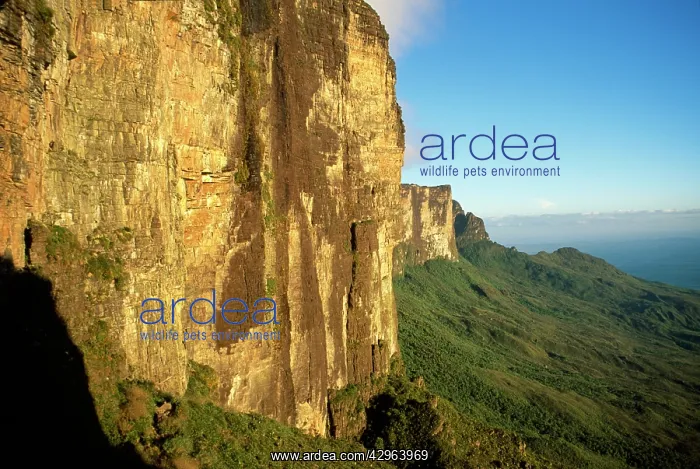 : Tepuis: Mount Roraima (Cerro Roraima), Estado Bolivar : Tepuis: Mount Roraima (Cerro Roraima), Estado Bolivar