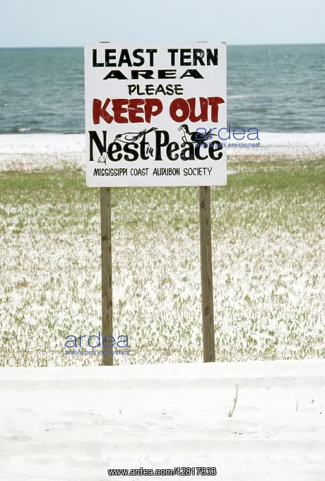 : Least Tern area - & sign : Least Tern area - & sign