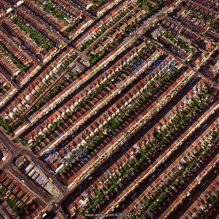 : Terraced housing, Portsmouth, Hampshire : Terraced housing, Portsmouth, Hampshire