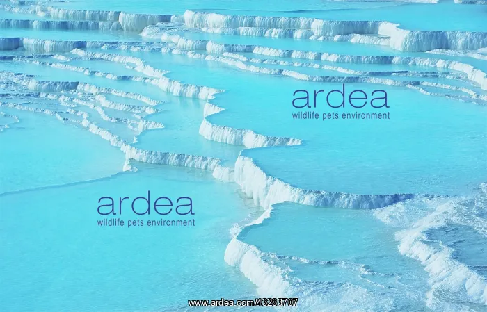 : Terraced travertine thermal pools, Pamukkale, UNESCO : Terraced travertine thermal pools, Pamukkale, UNESCO