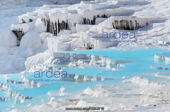 : Terraced travertine thermal pools, Pamukkale, UNESCO : Terraced travertine thermal pools, Pamukkale, UNESCO