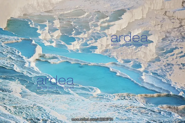 : Terraced travertine thermal pools, Pamukkale, UNESCO : Terraced travertine thermal pools, Pamukkale, UNESCO