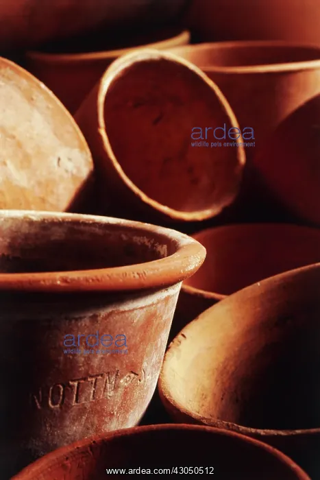 : Terracotta flower pots : Terracotta flower pots