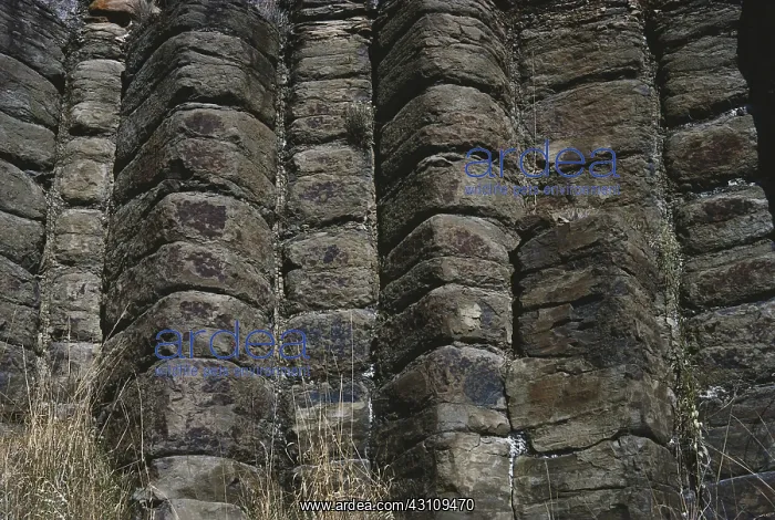 : Tertiary Basalt : Tertiary Basalt