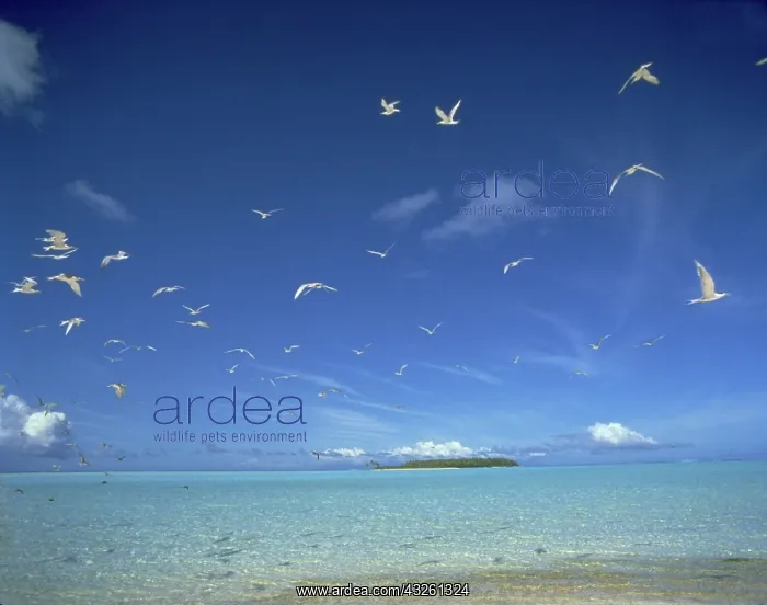  : Tetiaroa, French Polynesia