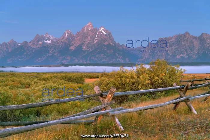 : Teton Range at Cunningham Ranch, Grand Teton National : Teton Range at Cunningham Ranch, Grand Teton National