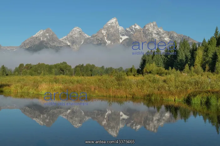  : Teton Range reflected in still waters of the Snake