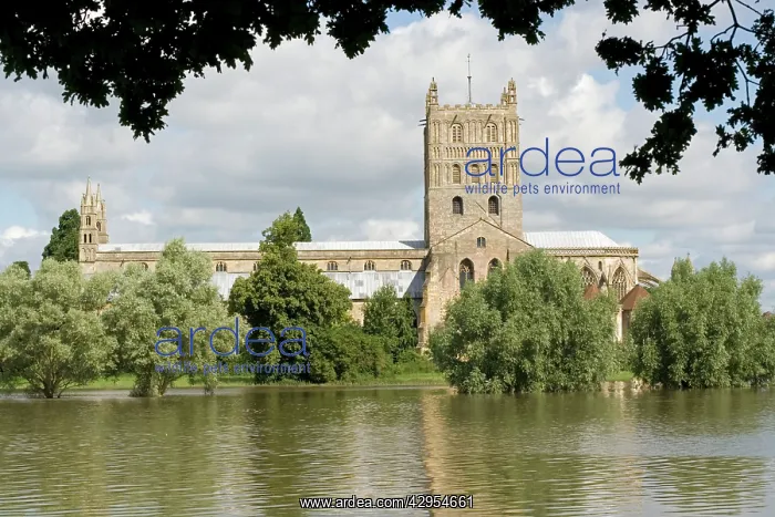: Tewkesbury Abbey inundated by unprecedented flooding : Tewkesbury Abbey inundated by unprecedented flooding