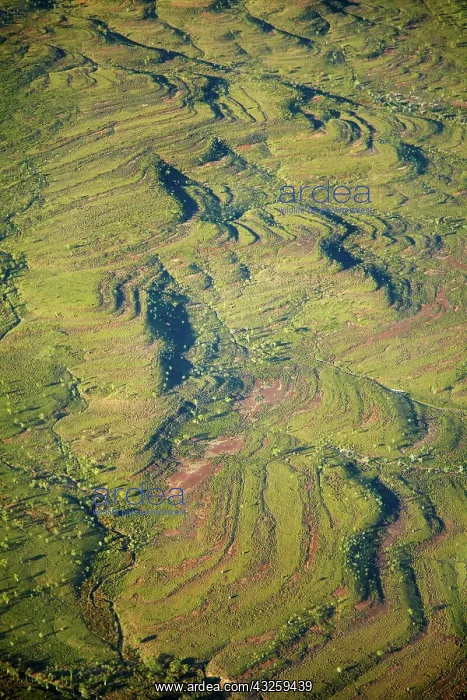 : Texas Downs Station, East Kimberley Region : Texas Downs Station, East Kimberley Region