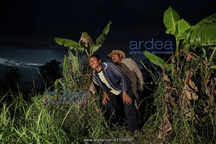 : Thai Conservationists with Bats : Thai Conservationists with Bats