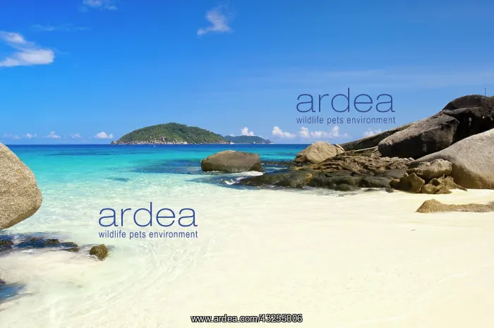 : Thailand, Andaman Sea. Ko Miang Island Similan : Thailand, Andaman Sea. Ko Miang Island Similan