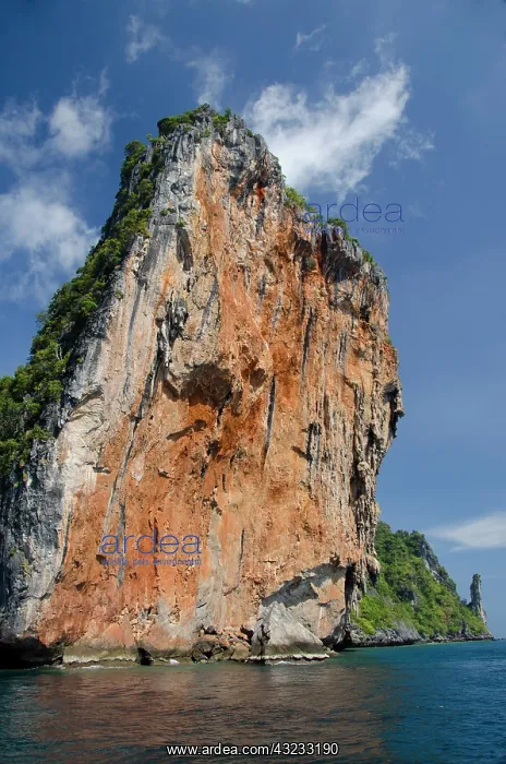  : Thailand, Andaman Sea, Phuket. Maya Bay