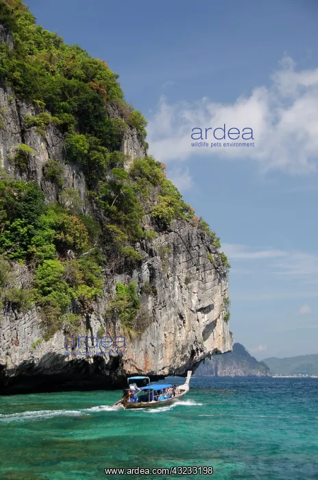 : Thailand, Andaman Sea, Phuket. Maya Bay : Thailand, Andaman Sea, Phuket. Maya Bay