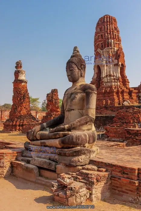 : Thailand, Ayutthaya. Wat Mahathat : Thailand, Ayutthaya. Wat Mahathat