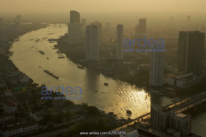: Thailand Bangkok city top shot : Thailand Bangkok city top shot