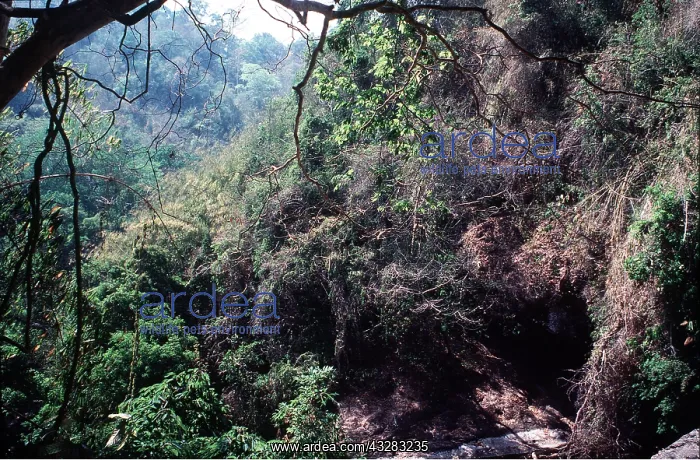  : THAILAND - Khoa Yai National Park - view from Heo