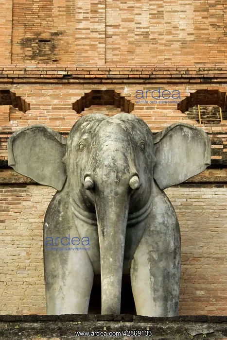 : Thailand - Stone sculpture of an elephant in the : Thailand - Stone sculpture of an elephant in the