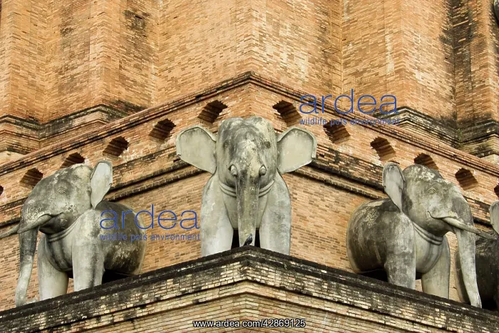 : Thailand - Stone sculptures of elephants in the : Thailand - Stone sculptures of elephants in the