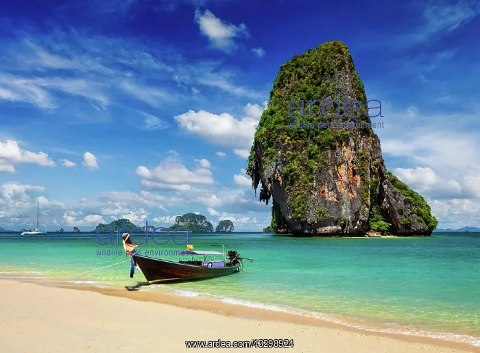 : Thailand tropical vacation concept background, Long : Thailand tropical vacation concept background, Long