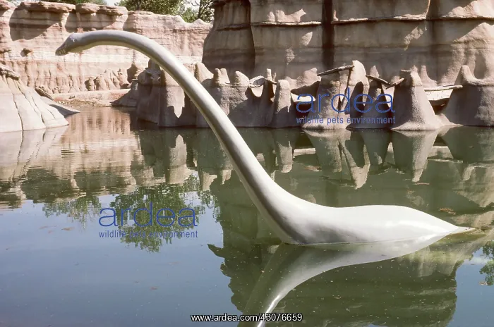 : Thalassomedon reconstruction in zoo : Thalassomedon reconstruction in zoo