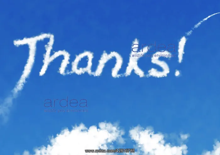  : Thanks! - written in the clouds