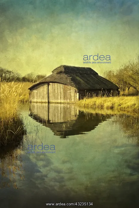 : Thatched Boathouse on Hickling Broad - Textured : Thatched Boathouse on Hickling Broad - Textured