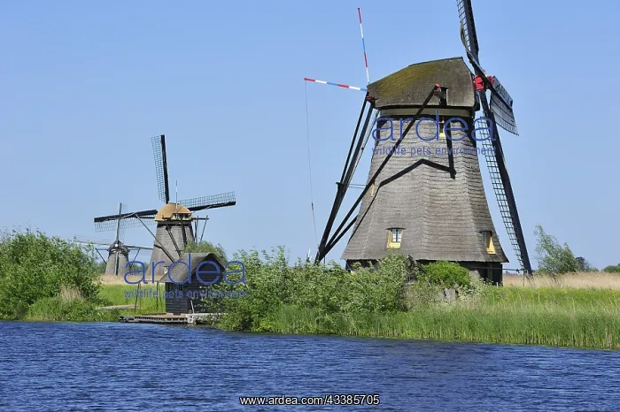  : Thatched polder windmills at Kinderdijk, a UNESCO