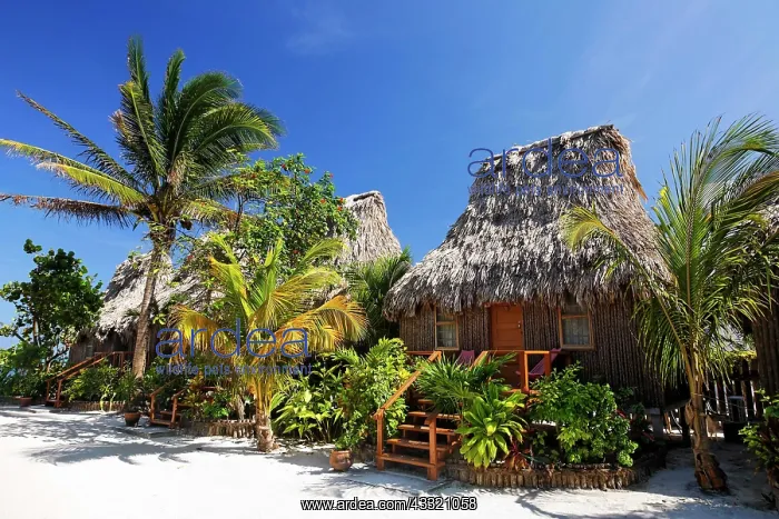 : Thatched roof bungalows between palm trees in San : Thatched roof bungalows between palm trees in San