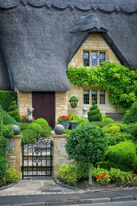 : Thatched roof cottage in Chipping-Campden, Gloucestershire : Thatched roof cottage in Chipping-Campden, Gloucestershire