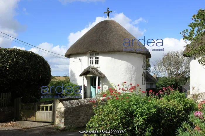  : Thatched Roof Round White Washed Cottages