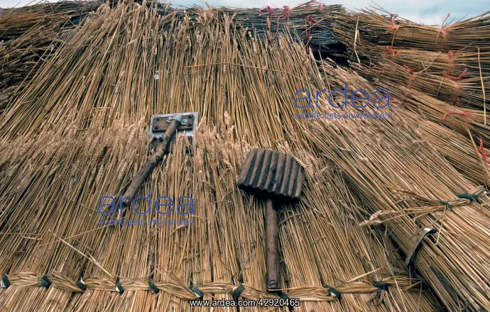 : Thatcher's tools - with straw thatching : Thatcher's tools - with straw thatching