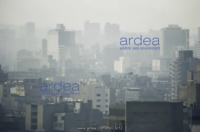 : Thermal Inversion : Thermal Inversion