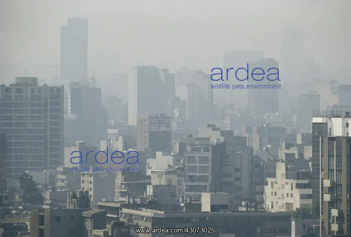: Thermal Inversion : Thermal Inversion