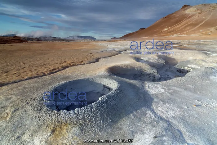 : Thermal mudpools at Hverar'nd in Iceland : Thermal mudpools at Hverar'nd in Iceland